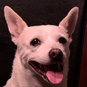 Meet your Posher, Adrian